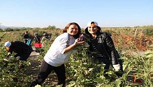 Bu hasatta herkes kazandı 