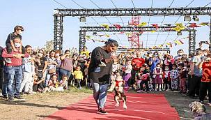 İzmirli hayvanseverler FestPati Buca'da buluştu