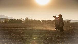 Atalık karakılçık buğdayı toprakla buluştu