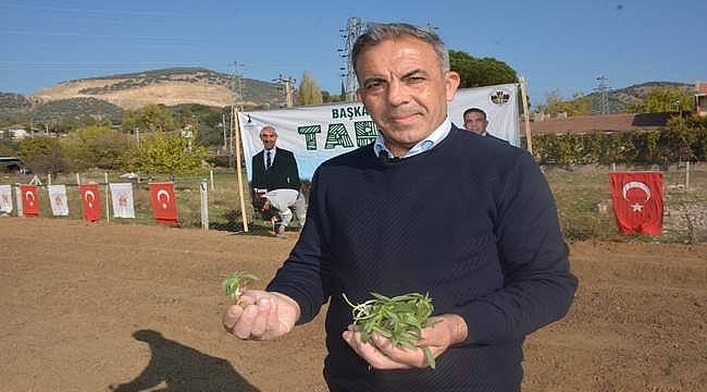 Başkan Yılmazlar: Salep fidelerini toprakla buluşturduk 