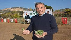 Başkan Yılmazlar: Salep fidelerini toprakla buluşturduk 