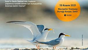 Gediz Deltası'nda kuş gözlem yürüyüşü 