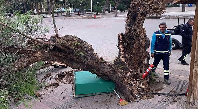 İzmir'de fırtına raporu 