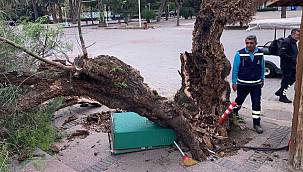 İzmir'de fırtına raporu 