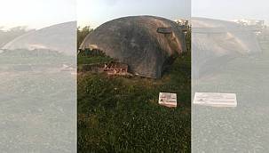 İzmir'de üç heykele saldırı 