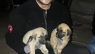 İzmir İtfaiyesi'nden hayat kurtaran buluş 