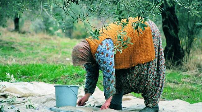 Karaburun Belediyesi ekmeğini kooperatifler ile bölüşüyor 