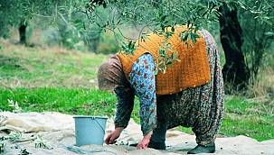 Karaburun Belediyesi ekmeğini kooperatifler ile bölüşüyor 