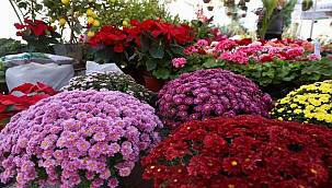 Karşıyaka 'Sonbahar Çiçek Festivali' ile renklendi  