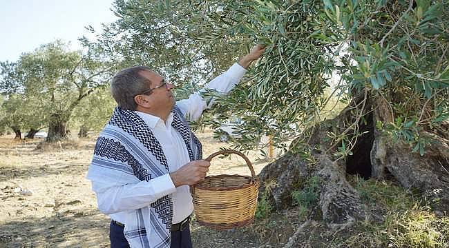 Mesut Ergin: "Dünya Zeytin Ağacı Günü kutlu olsun" 