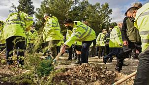 SOCAR'dan Aliağa'ya Azerbaycan Karabağ Hatıra Ormanı 