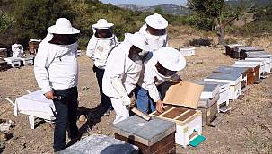 Bayraklı'da 'Arıcılık' Gelişecek 