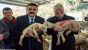 Büyükşehir'den üreticiye bir destek daha 