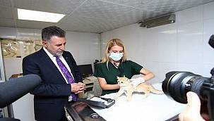 Can dostlar Bayraklı Belediyesi'ne emanet! 