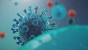 COVID 19 Yeni Varyantıyla Yeniden Gündemde… 