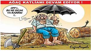 Eflatun Nuri'de kazananlar belli oldu 