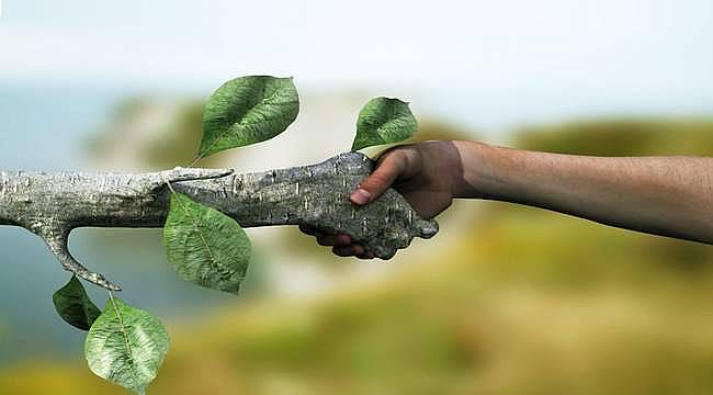 EGİAD Başkanı Avni Yelkenbiçer'den "Yeşil Kuğu" Vurgusu 