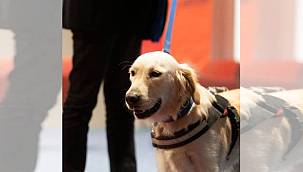 İzmir'den engelsiz yaşam için örnek adım 