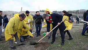 'Yeşil Karşıyaka' için 40 bin fidan 