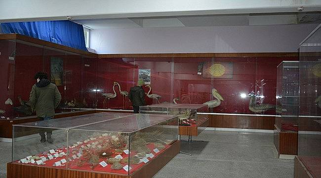 EÜ Tabiat Tarihi Müzesi doğa tarihi tutkunlarını bekliyor 