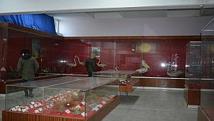 EÜ Tabiat Tarihi Müzesi doğa tarihi tutkunlarını bekliyor 