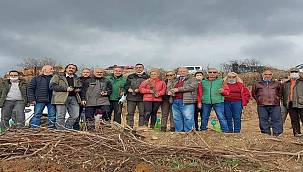 Gazetecilerden yanan alanlara 1000 fidan   
