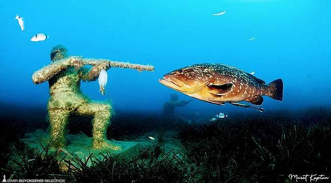 İzmirli su altı fotoğrafçısı dünya birincisi oldu 