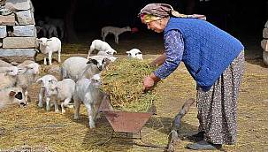 Mera İzmir projesiyle üretici artık geleceğe umutla bakıyor 