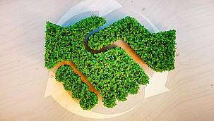 Şirketler Acil Olarak Yeşil Mutabakata Hazırlanmalı 