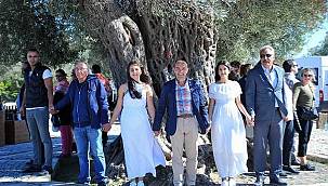 Başkan Tunç Soyer: Zeytinliklerimizi ranta kurban ettirmeyeceğiz 