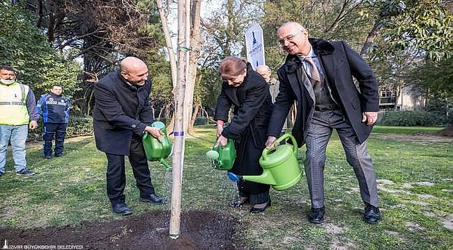 Brezilya'dan İzmir'e kardeşlik fidanı 