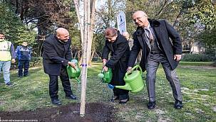 Brezilya'dan İzmir'e kardeşlik fidanı 