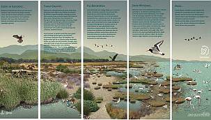 "Doğa Şehirde" projesi Mavişehir Balıkçı Barınağı'ndan başladı 