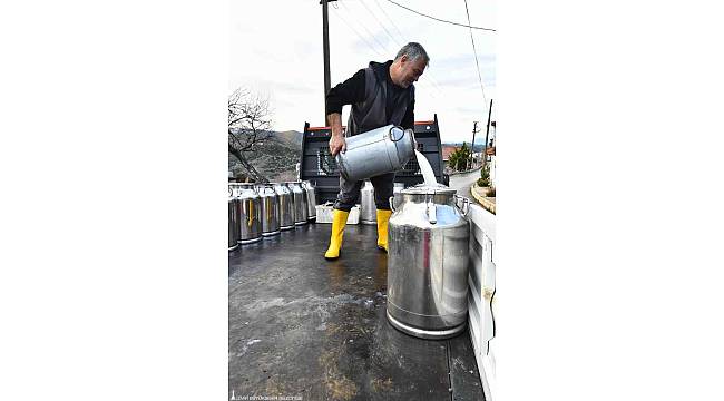 Pastörize keçi sütü, çocuklarda sağlıklı ve dengeli beslenme sağlıyor 