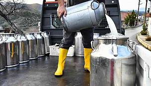 Pastörize keçi sütü, çocuklarda sağlıklı ve dengeli beslenme sağlıyor 