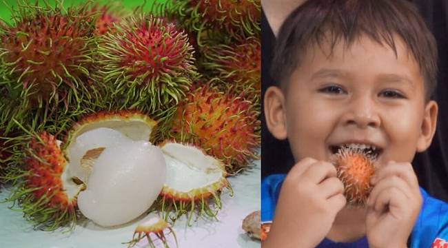 Uzakdoğudan yeni bir şifalı meyve keşfi daha: Rambutan Meyvesi 