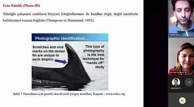Deniz Biyoloğu Alan, "İzmir Körfezinde 11 farklı Cetacea tanımlandı" 