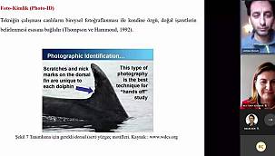 Deniz Biyoloğu Alan, "İzmir Körfezinde 11 farklı Cetacea tanımlandı" 