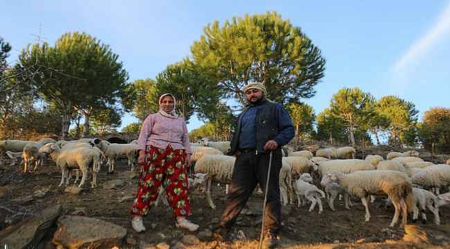 İzmir'in Çoban Haritası çıkarıldı 