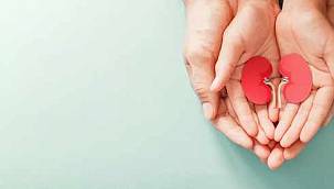 Türkiye'de her 6-7 yetişkinden 1'i böbrek hastası! 