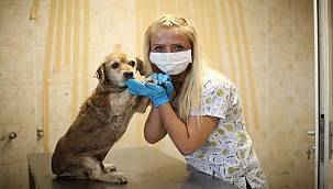 Konak'ta can dostlara Eksiksiz hizmet 