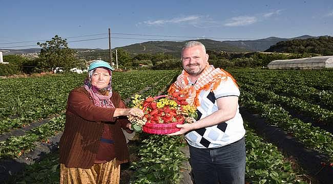 Menemen'de Çilek Festivali Heyecanı 