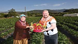 Menemen'de Çilek Festivali Heyecanı 