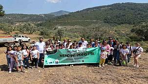 Ölmez ağaç minik ellerle toprağa kavuştu