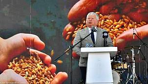 Üreticilere yerel fide dağıtıldı 