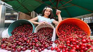 15. Yörük Kültürünü Tanıtma ve Kiraz Festivali'ne yoğun ilgi 