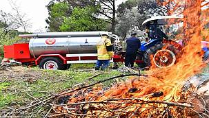 İzmir'de ormanlara koruma kalkanı 