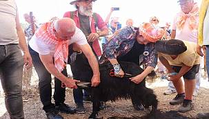 Karaburun dağlarında "Kırkım" coşkusu 