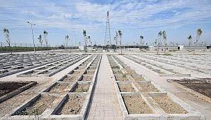 İzmir'in ilk hayvan mezarlığında doluluk oranı yüzde 35'e ulaştı 