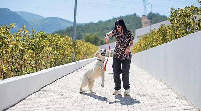 Önce tedavi ettiler sonra sahiplendiler 